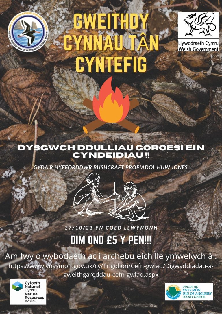 Gweithdy Cynnau Tan Cyntefig