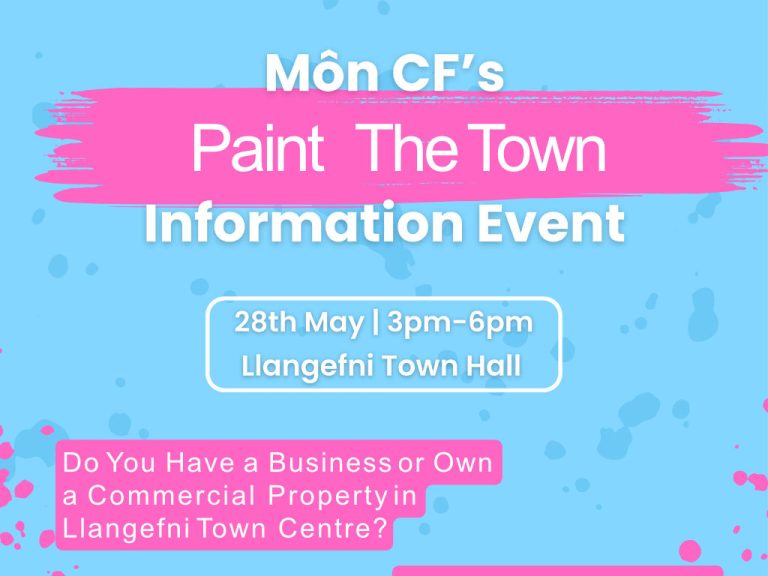 Paint the Town Information Event